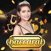 Baccarat table cover